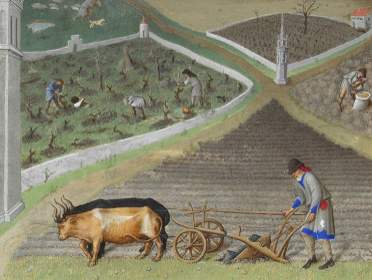 feudalism in the middle ages manorialism